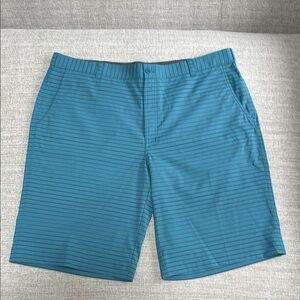 Nike Men's Blue Striped Hybrid Shorts